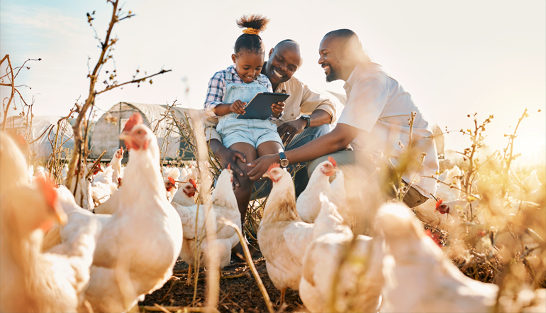 Organic Seed Production – The Source of Pure Harvests
